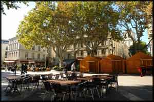 Avignon 6